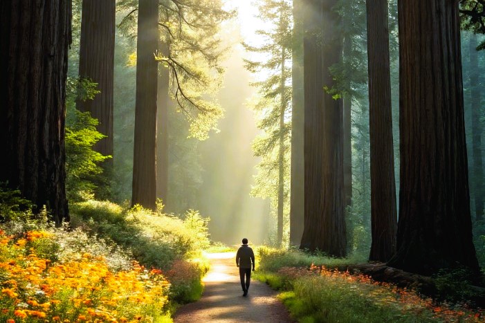 digital detox retreats